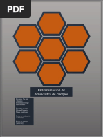 Informe de Determinación de Densidades de Cuerpos Irregulares