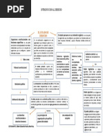 Mapa Conceptual