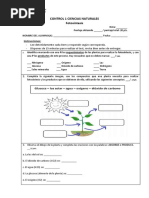 Control 1 Fotosintesis