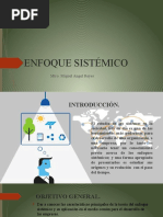 Enfoque Sistemico