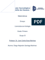 Ensayo Matemáticas