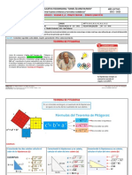 APOYO PEDAGÓGICO TEOREMA DE PITÁGORAS SEMANA 8 y 9 1P1Q