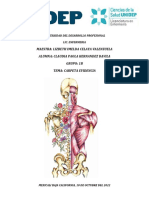 Anatomia Carpeta