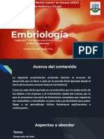 Embriología - Capítulo 8 LANGMAN