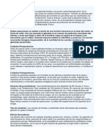 Hemitiroidectomía Es Resecar o Quitar La Mitad de La Glándula Tiroides y La Porción Central Llamada Istmo