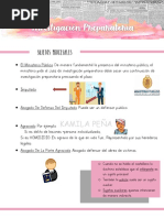 Investigacion Preparatoria Penal Completo