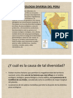 Geomorfologia Diversa Del Peru