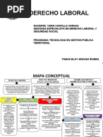 Derecho Laboral - Mapa Conceptual