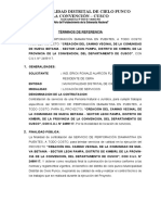 TDR de SERVICIO DE PERFORACIÓN DIAMANTINA EN PUENTES, A TODO COSTO