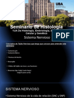 Seminario 10 Sistema Nervioso