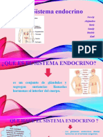 Sistema Endocrino