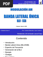 Banda Lateral Unica