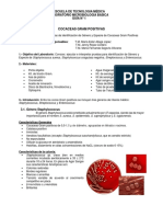 Guia #1 Cocaceas Gram Positivas Microbiología Básica 2019