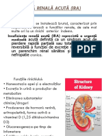 Insuficienţa Renală Acută (IRA) Reprezintă o Urgenţă Medicală