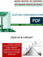 Cultura Organizacional