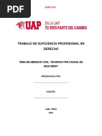 Trabajo de Suficiencia Profesional en Derecho - Uap 2022 - Adulterio