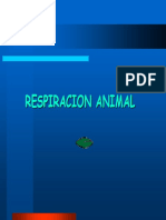 Clase Respiración