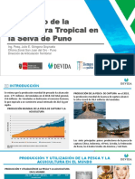 (12 J - 3) JULIO GONGORA - Acuicultura en Puno - Compressed