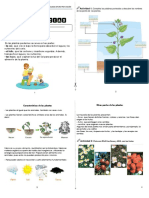 Guia Ciencias Las Plantas Nivelacion