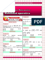 8.habilidad Operativa