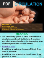 Fetal Circulation