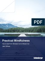 Practical Mindfulness