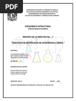 2601 - Q - Equipo 5 - Carbohidratos y Lípidos