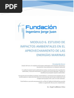 Módulo 6.0 Estudio Impacto Ambiental