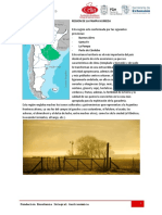 G4 - Modulo V - Pampa OK