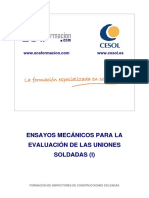 Documento ICS11