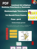 Artrologia Veterinaria Descriptiva 2022