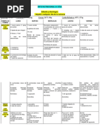 Reto Nutricional 21 Dias