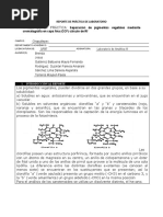 Practica 4