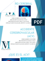 Presentacion V&M Daño Cerebral