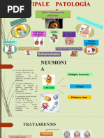 Enfermedades Del Sistema Respiratorio