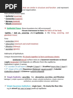 Animal Tissues