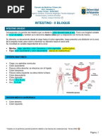 TCP Intestino Grueso