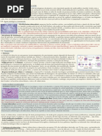 Tuberculose - Julia Baiao