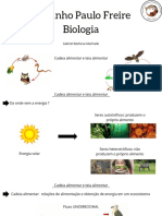 Cadeia Alimentar e Teia Alimentar