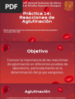 Práctica 14: Reacciones de Aglutinación