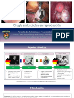 Endoscopia y Fertilidad