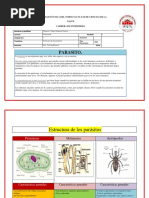 Katheryn - Montalvo - Cuadro Comparativo Parásitos - Parasitología - 2A