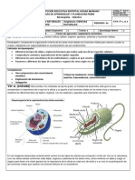 GUIA DE CIENCIAS Naturales (Celula, Tejidos y Organos)