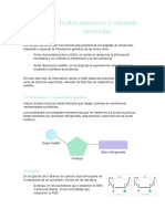 Tema 1 Ácidos Nucleicos y Enzimas Asociadas