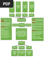 Mapa Conceptual - Los Virus