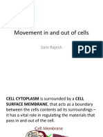 Diffusion and Osmosis - IGCSE