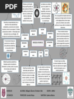 Mapa Conceptual de Modelos Atomicos