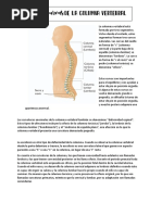 Curvas de La Columna