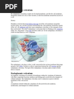 Endoplasmic Reticulum