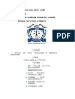 Concepto y Naturaleza Jurídica de La Nulidad Procesal